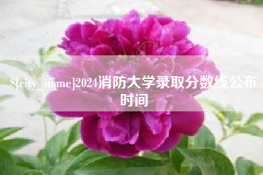桐城2024消防大学录取分数线公布时间