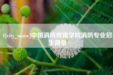 桐城中国消防救援学院消防专业招生简章
