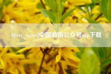 桐城中国消防公众号app下载