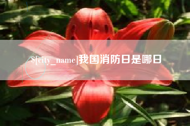 桐城我国消防日是哪日