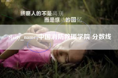 桐城中国消防救援学院 分数线