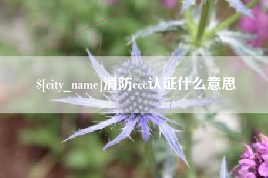 桐城消防ccc认证什么意思