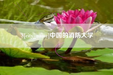 桐城中国的消防大学