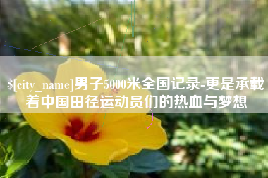 桐城男子5000米全国记录-更是承载着中国田径运动员们的热血与梦想