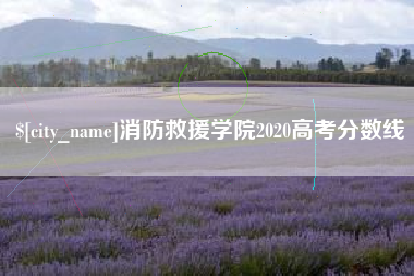 桐城消防救援学院2020高考分数线