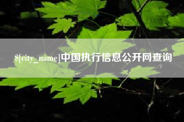 桐城中国执行信息公开网查询