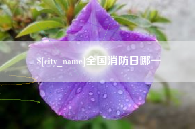 桐城全国消防日哪一