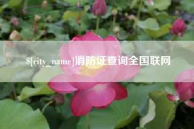 桐城消防证查询全国联网