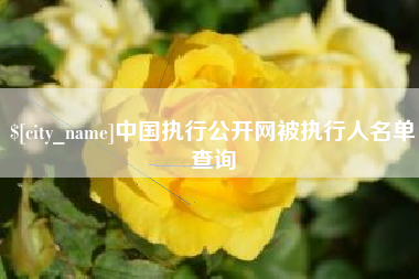 桐城中国执行公开网被执行人名单查询