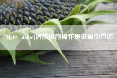 桐城消防设施操作员证真伪查询