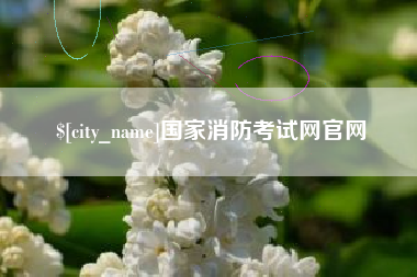 桐城国家消防考试网官网