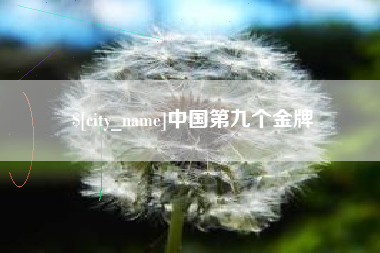 桐城中国第九个金牌