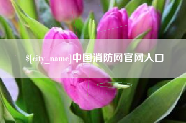 桐城中国消防网官网入口