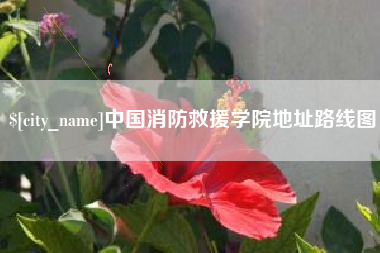 桐城中国消防救援学院地址路线图