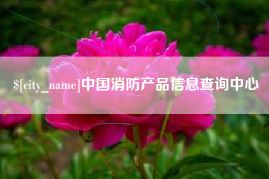 桐城中国消防产品信息查询中心
