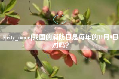 桐城我国的消防日是每年的11月9日对吗？