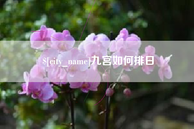 桐城九宫如何排日