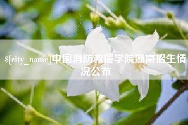 桐城中国消防救援学院湖南招生情况公布