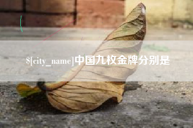 桐城中国九枚金牌分别是