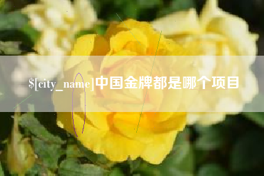 桐城中国金牌都是哪个项目