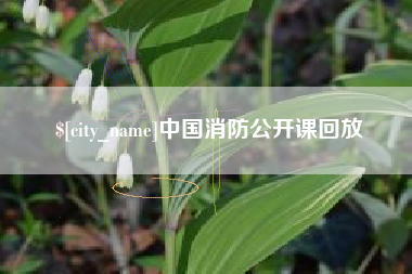 桐城中国消防公开课回放