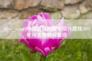 桐城中国消防救援学院分数线2023年河北录取分数线