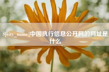 桐城中国执行信息公开网的网址是什么