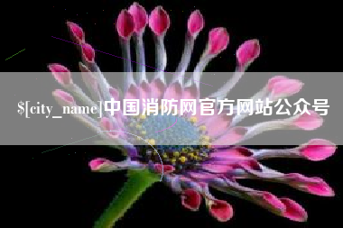 桐城中国消防网官方网站公众号