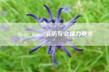 桐城消防专业视力要求