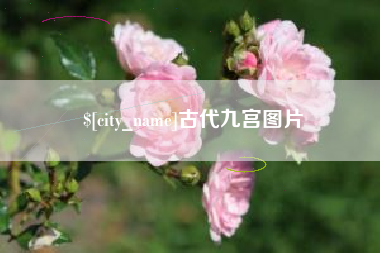 桐城古代九宫图片