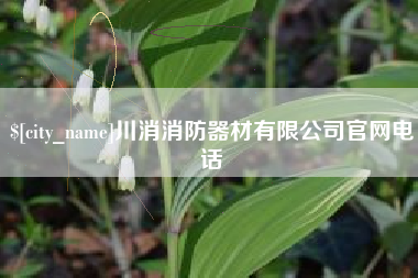 桐城川消消防器材有限公司官网电话