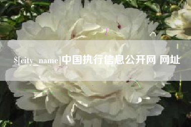 桐城中国执行信息公开网 网址