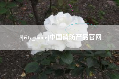 桐城中国消防产品官网