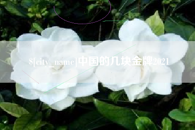 桐城中国的几块金牌2021