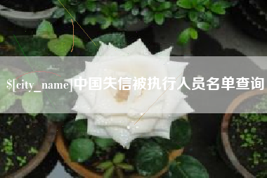 桐城中国失信被执行人员名单查询