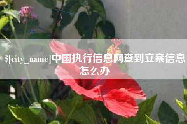 桐城中国执行信息网查到立案信息怎么办