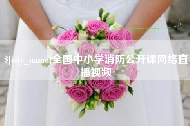 桐城全国中小学消防公开课网络直播视频