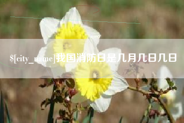 桐城我国消防日是几月几日几日