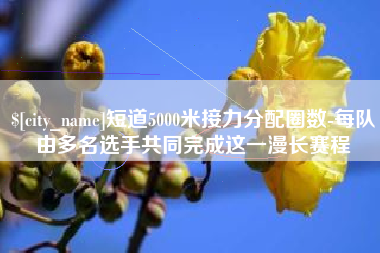 桐城短道5000米接力分配圈数-每队由多名选手共同完成这一漫长赛程