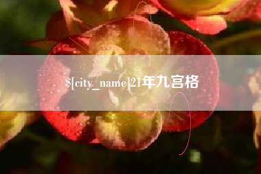 桐城21年九宫格