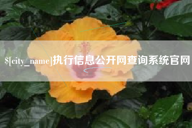 桐城执行信息公开网查询系统官网