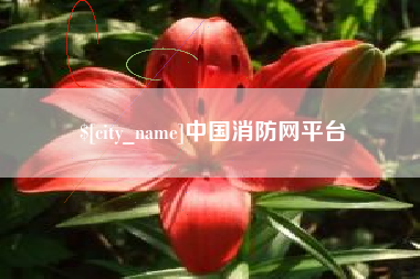 桐城中国消防网平台