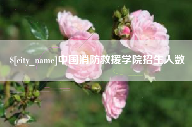 桐城中国消防救援学院招生人数
