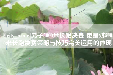 桐城男子5000米长跑决赛-更是对5000米长跑决赛策略与技巧完美运用的体现