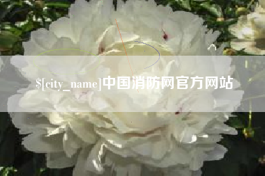 桐城中国消防网官方网站