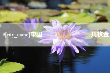 桐城中国🇨🇳几枚金牌