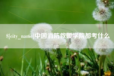 桐城中国消防救援学院都考什么