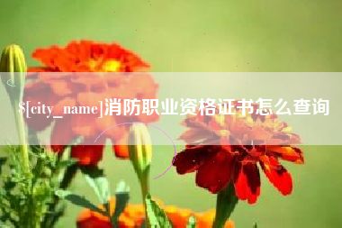 桐城消防职业资格证书怎么查询