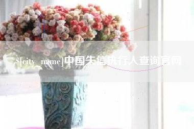 桐城中国失信执行人查询官网