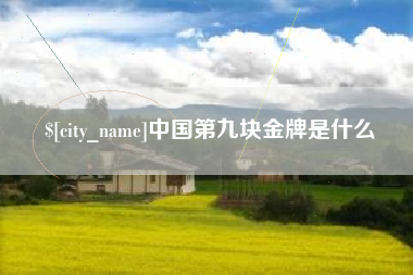 桐城中国第九块金牌是什么